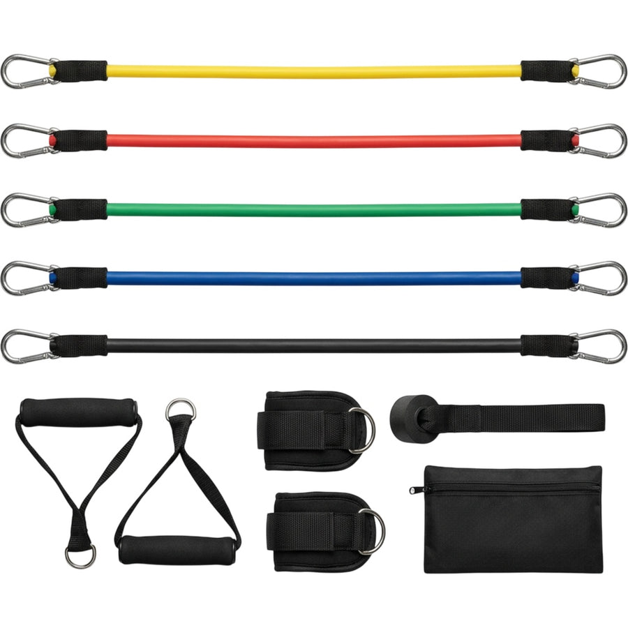 Alorv Latex Tube Resistance Band Kit with Handles Set of 11